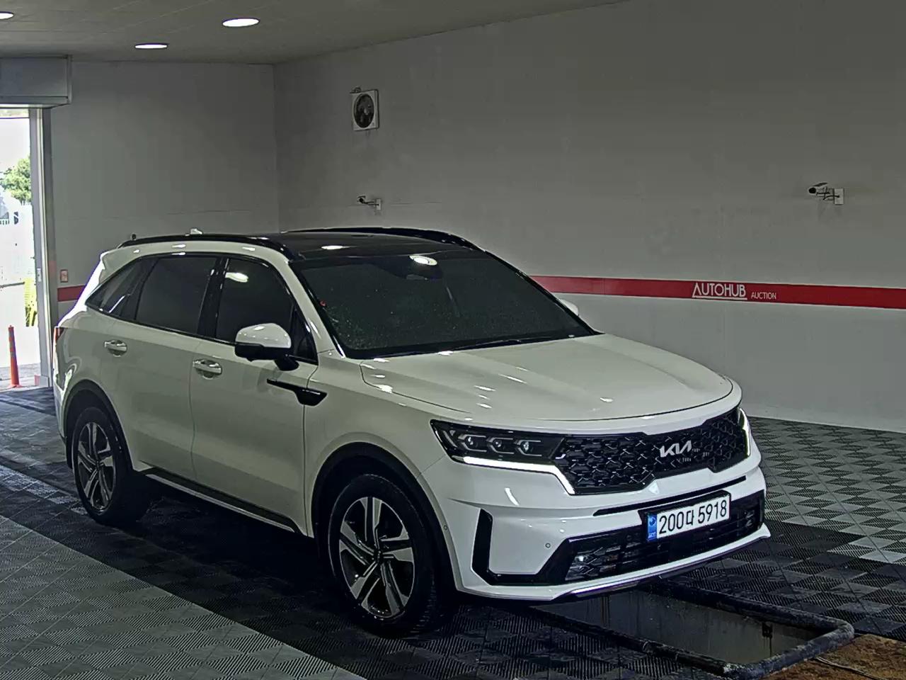 2023 - kia sorento