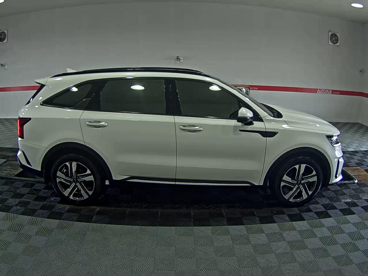 2023 - kia sorento