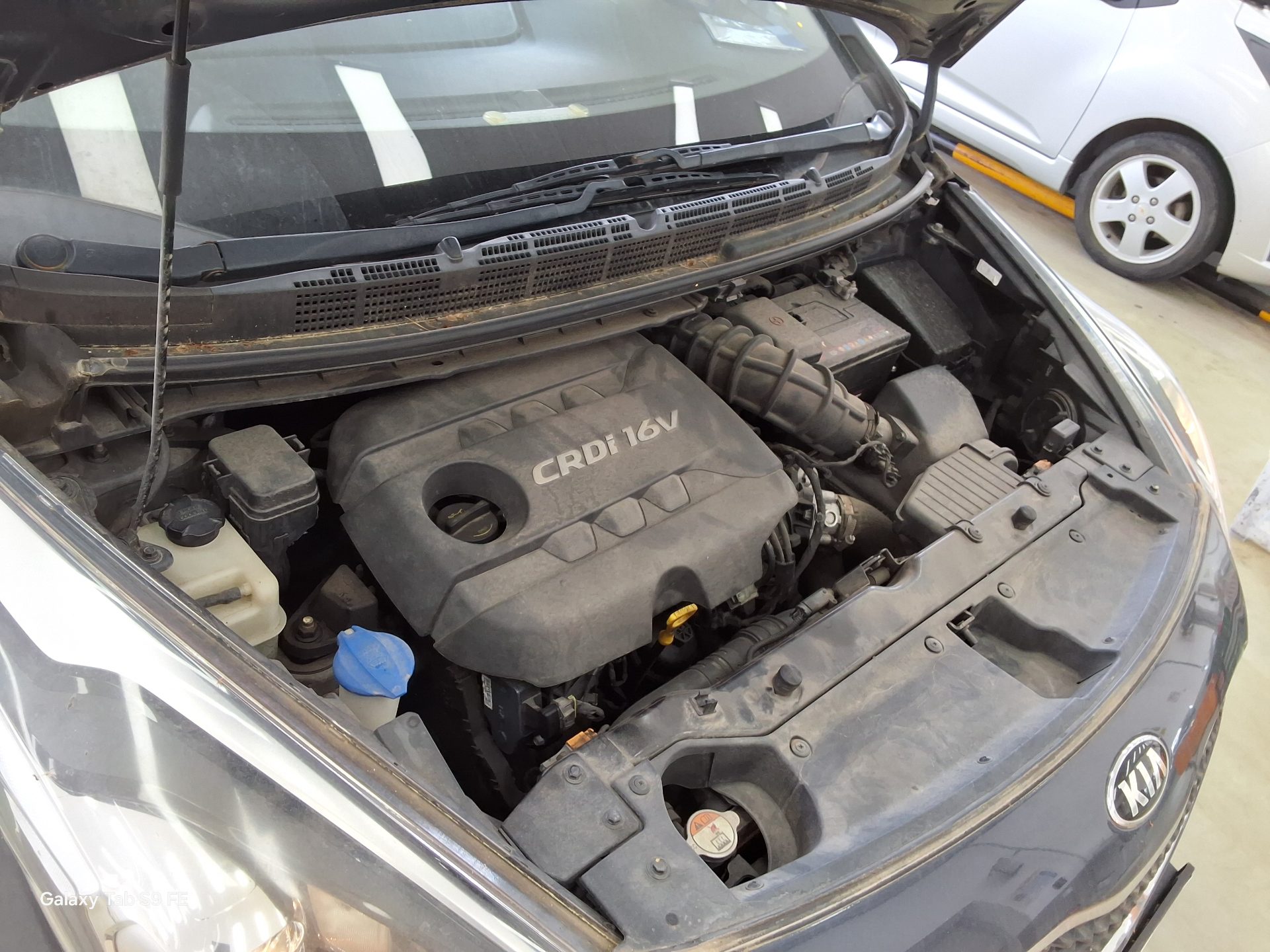 2014 - kia carens