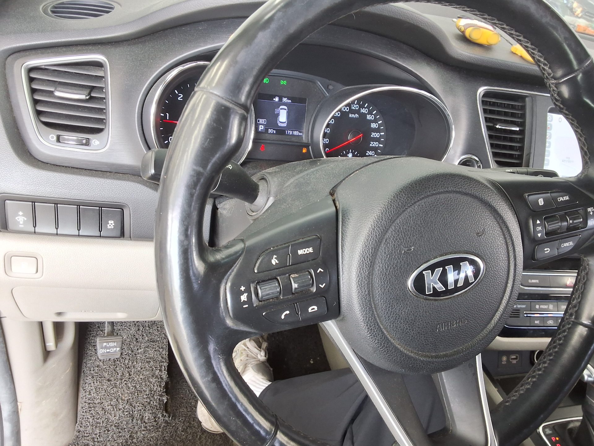 2019 - kia carnival