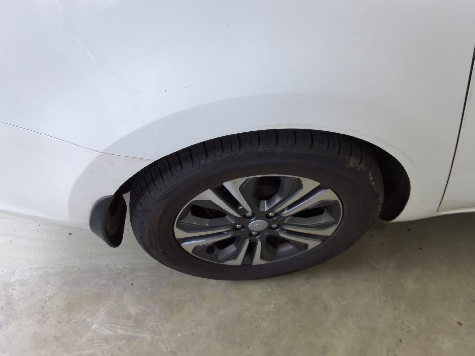2019 - kia carnival