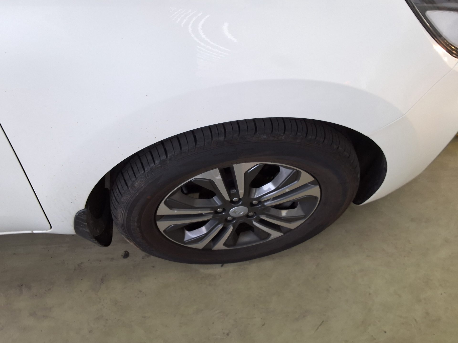 2019 - kia carnival