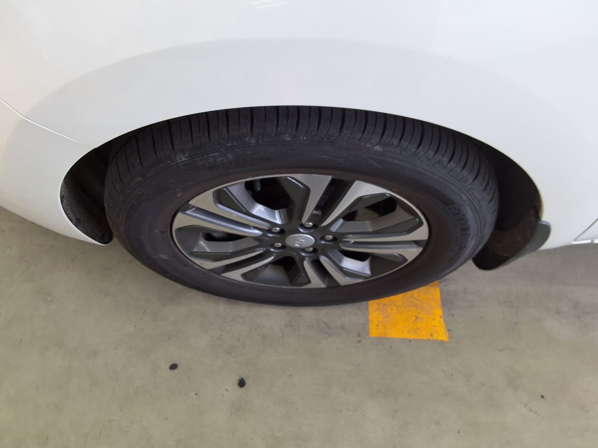 2019 - kia carnival