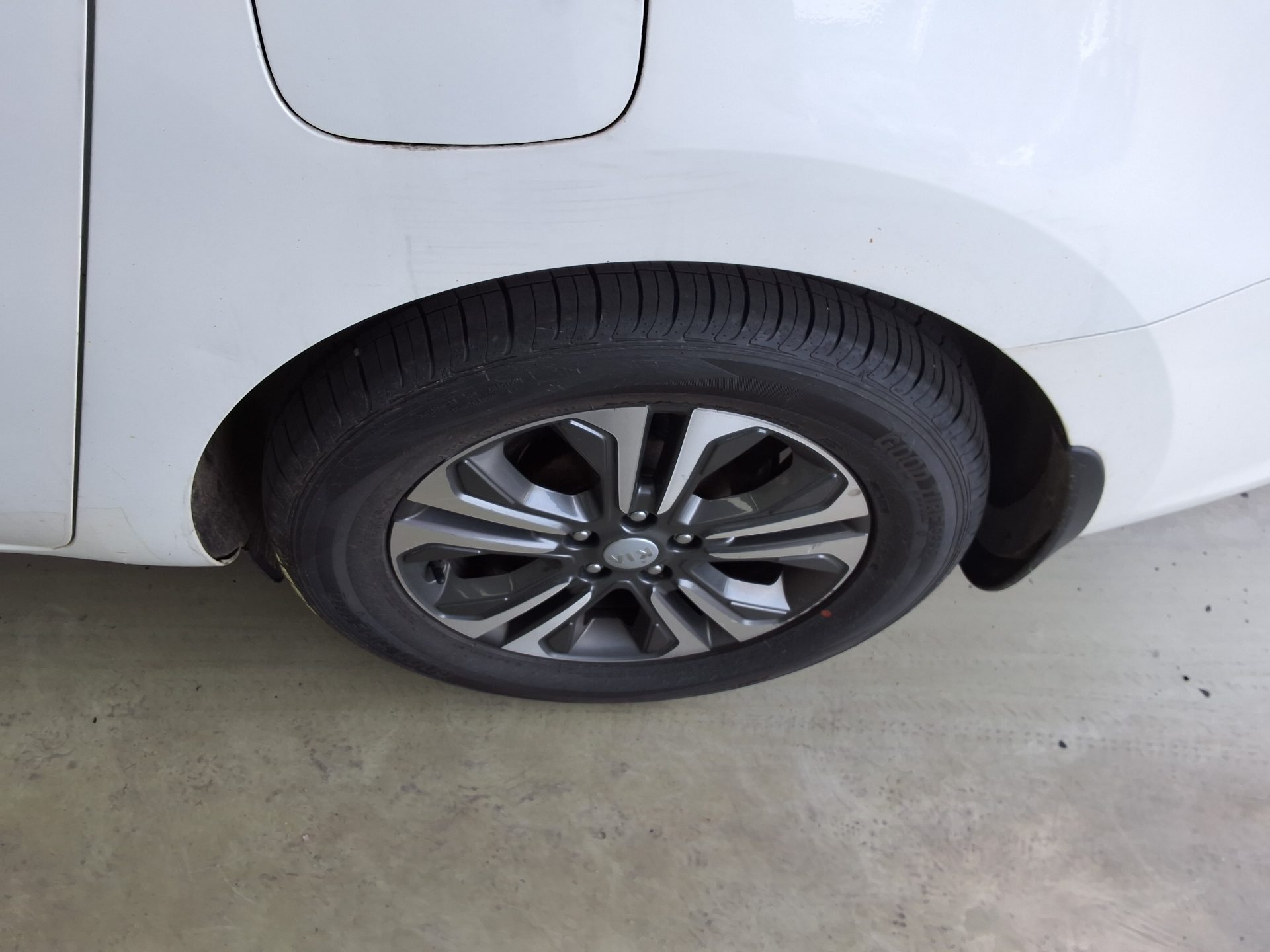 2019 - kia carnival