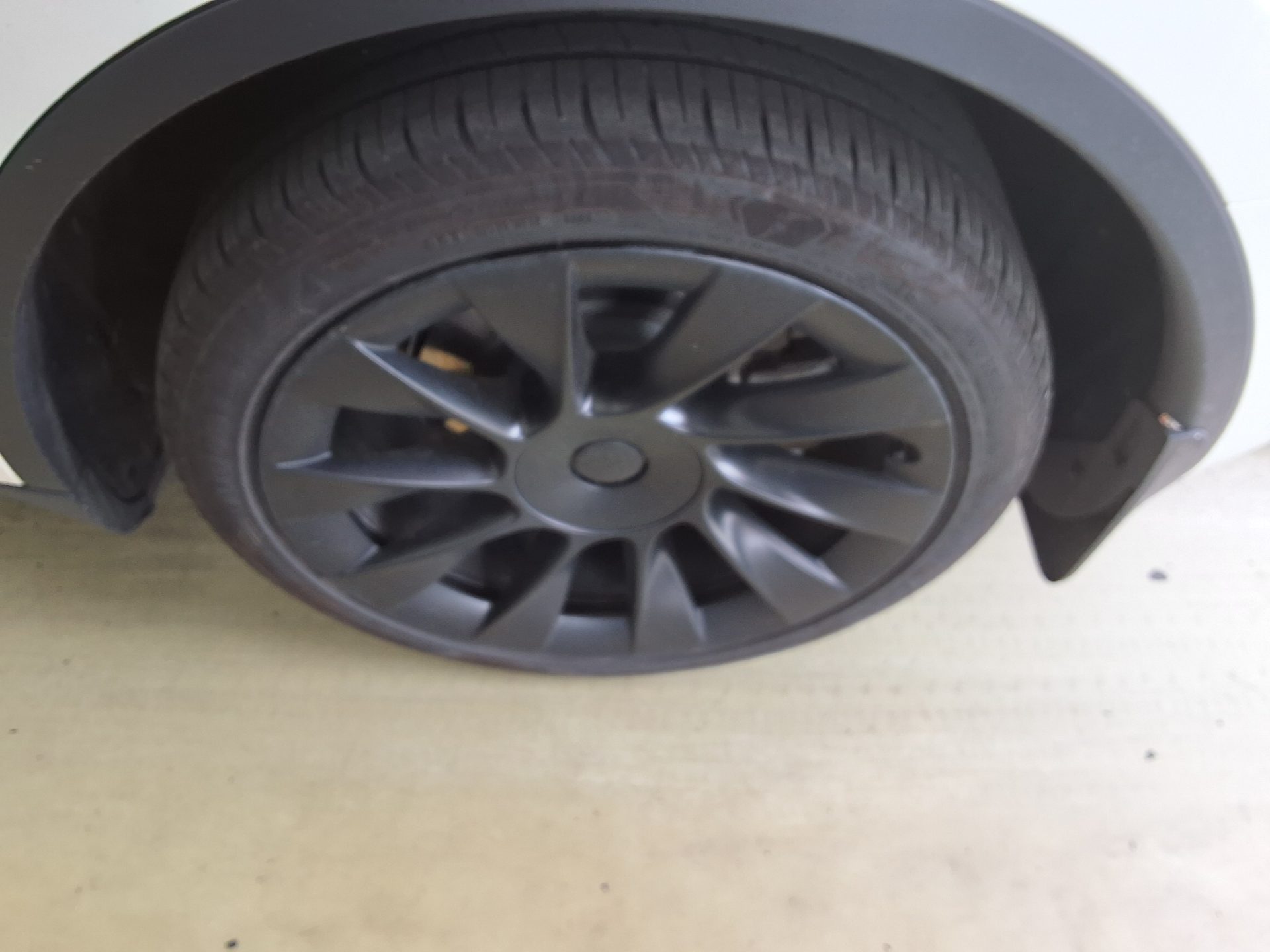 2025 - tesla model y