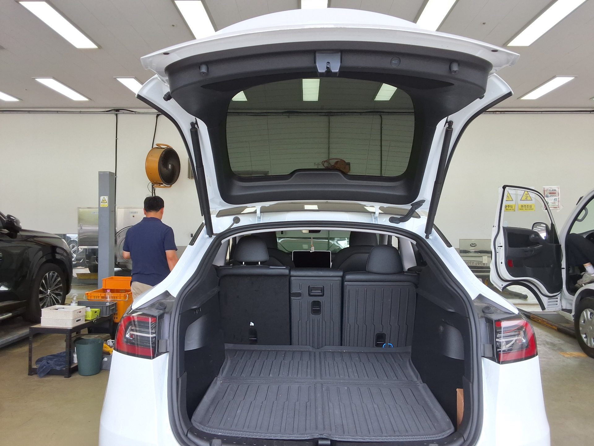 2025 - tesla model y