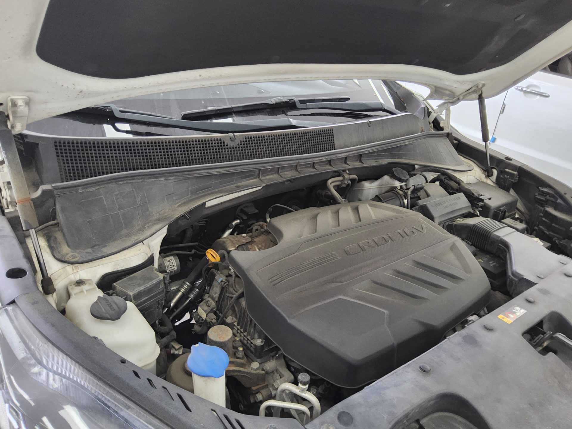 2019 - kia sorento