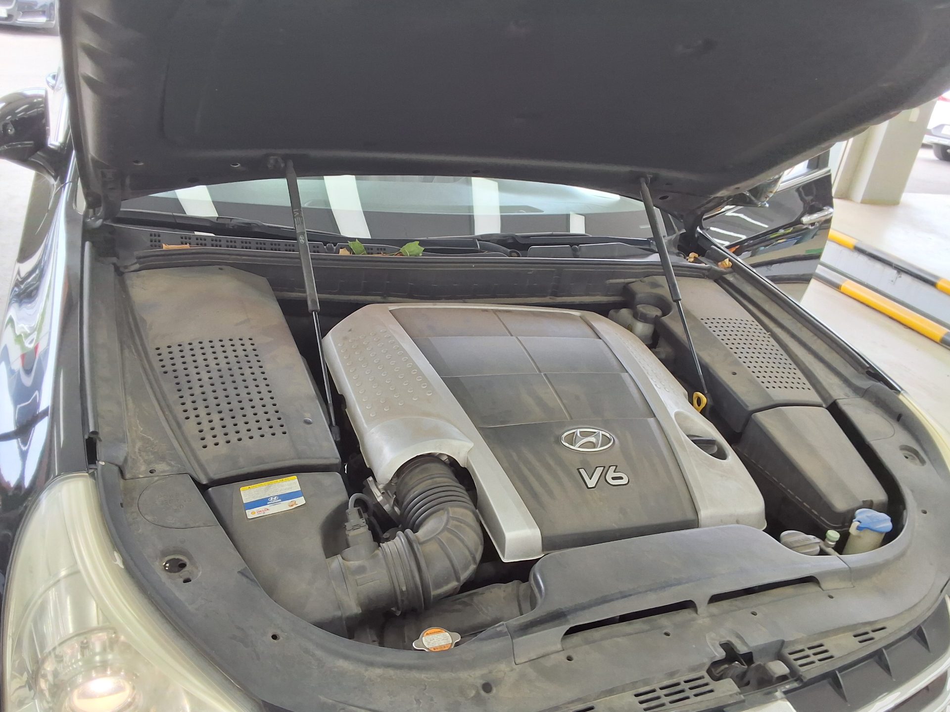 2010 - hyundai equus