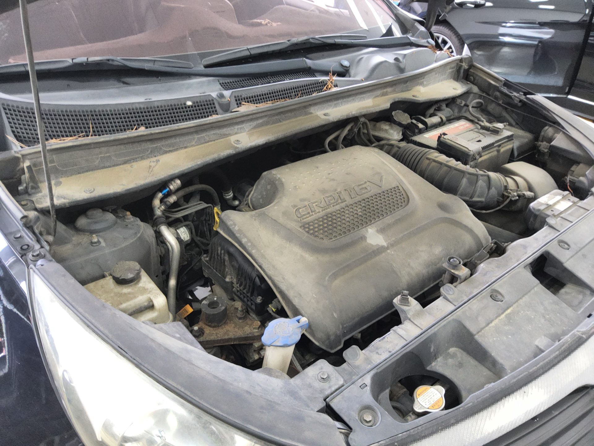 2011 - kia sportage