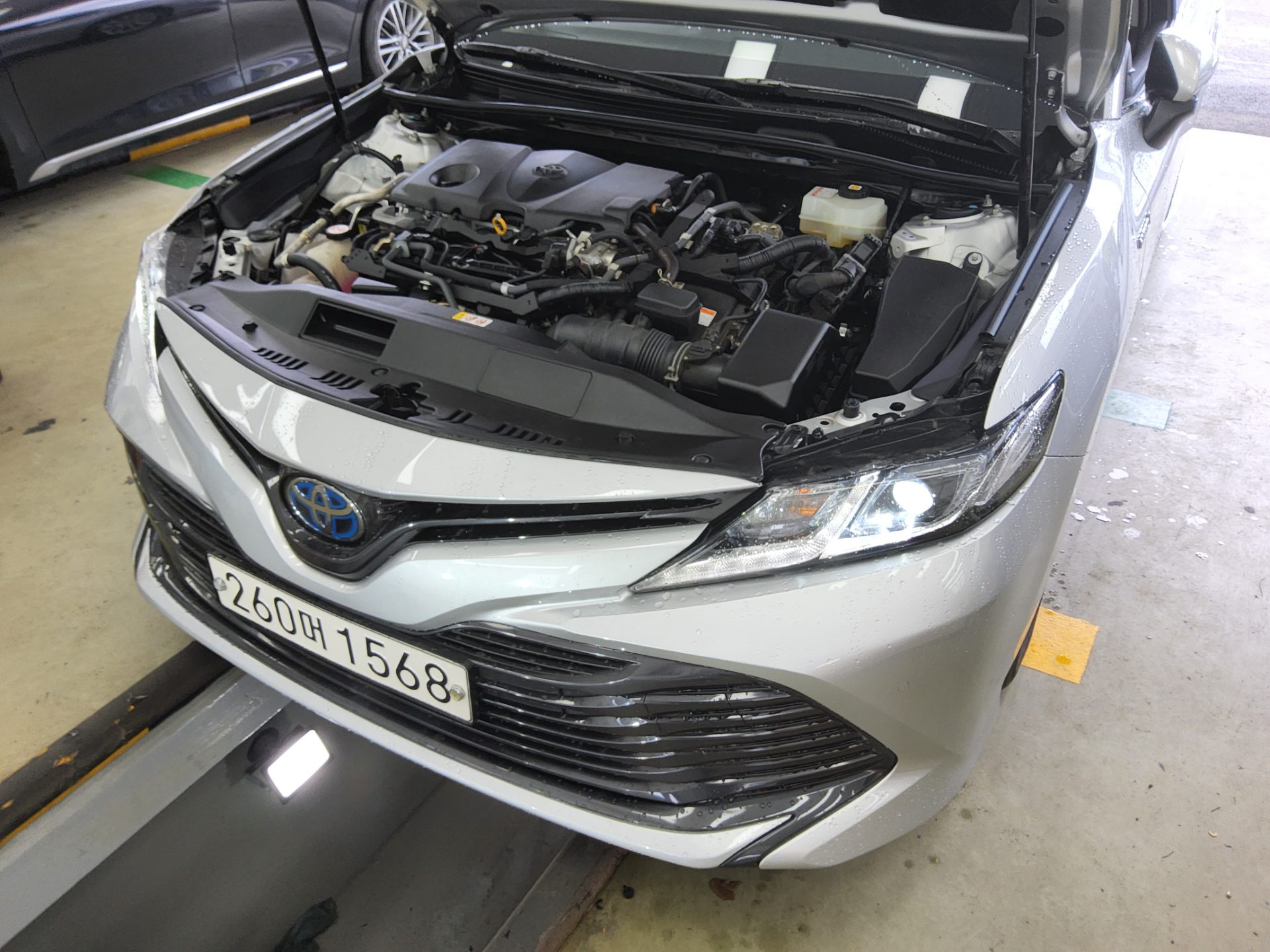 2021 - toyota camry