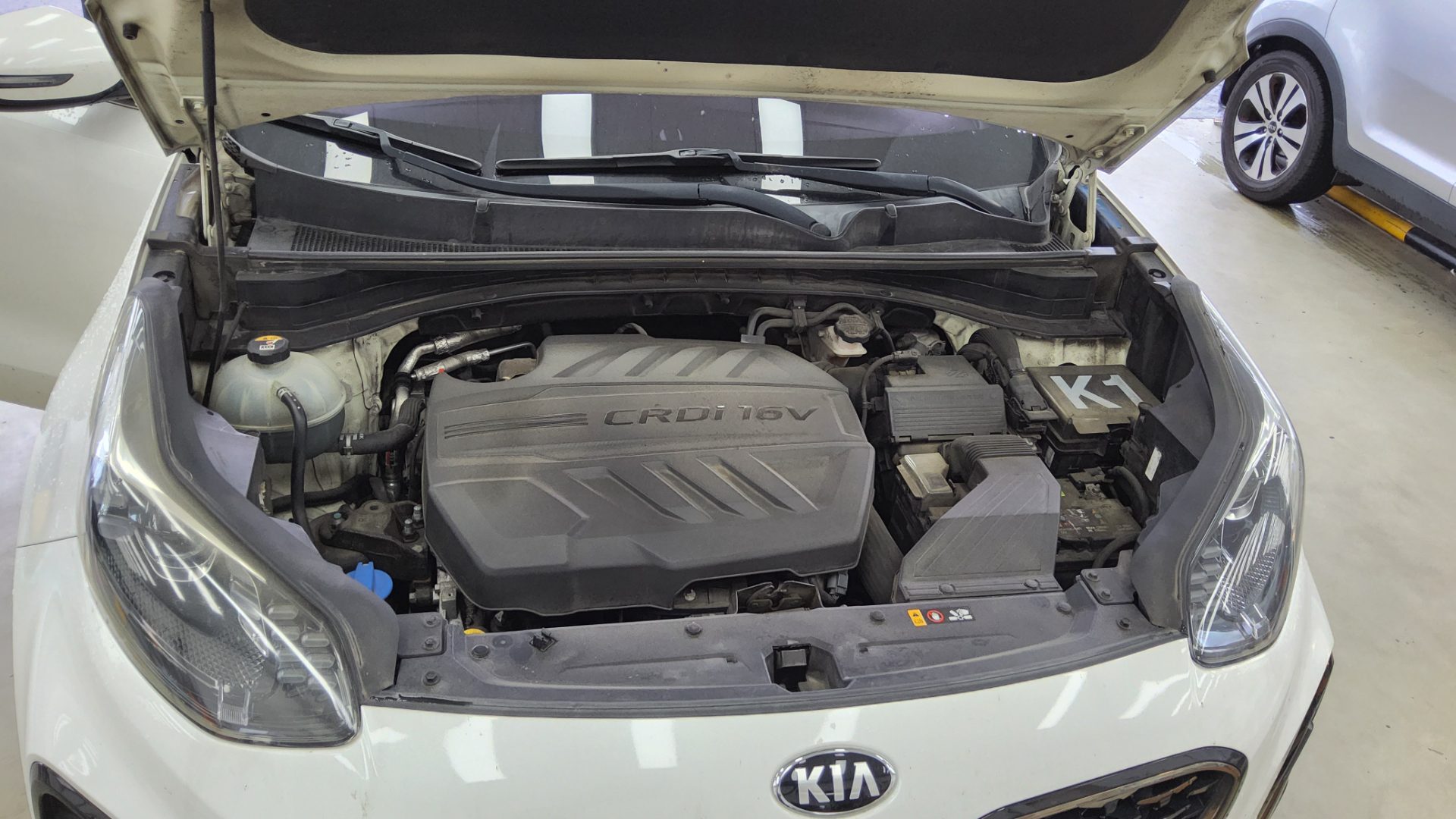 2019 - kia sportage