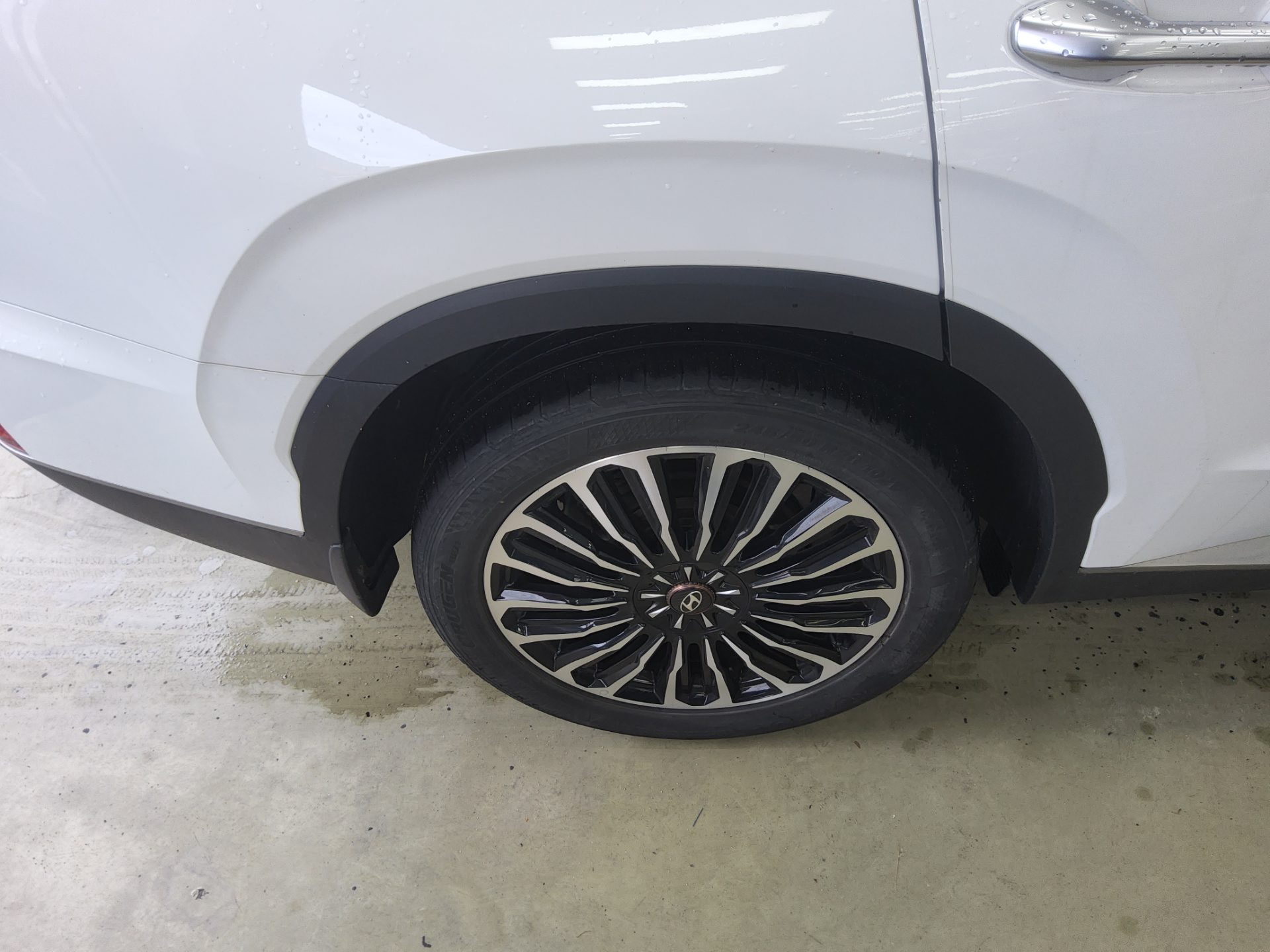 2019 - hyundai palisade
