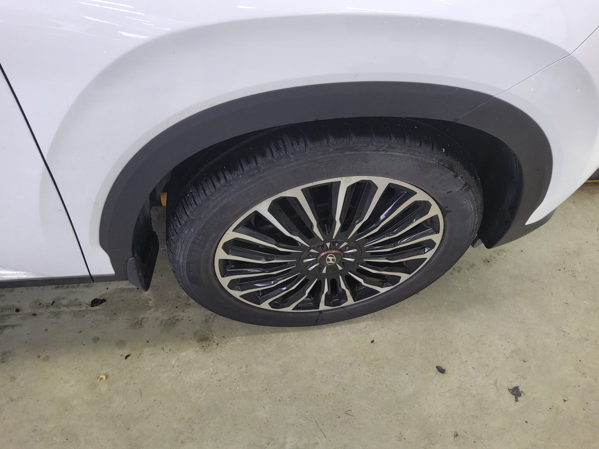2019 - hyundai palisade