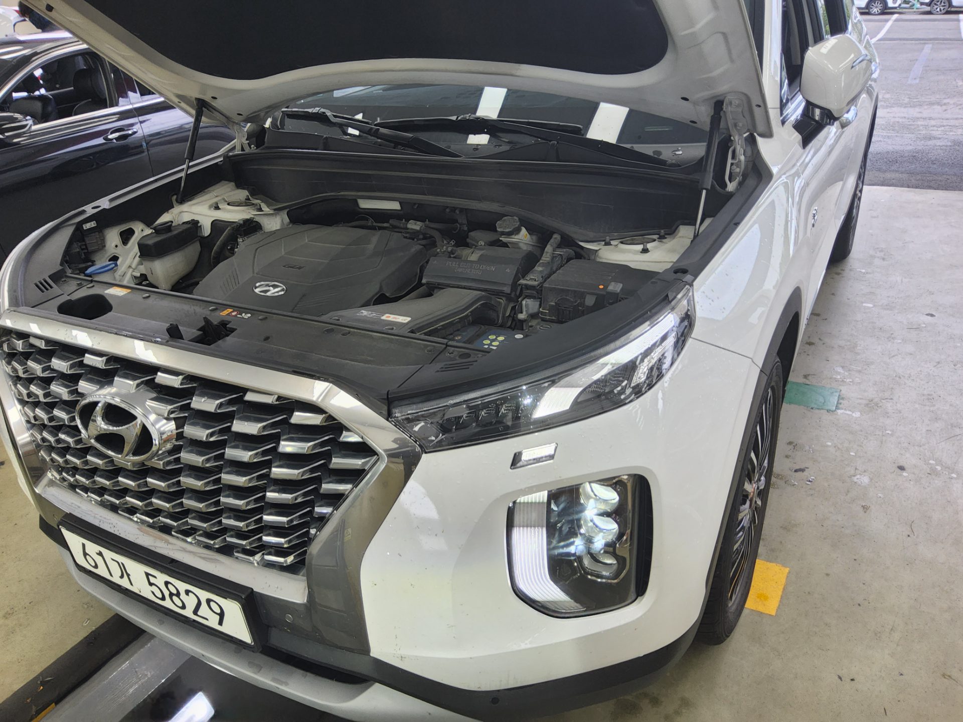 2019 - hyundai palisade