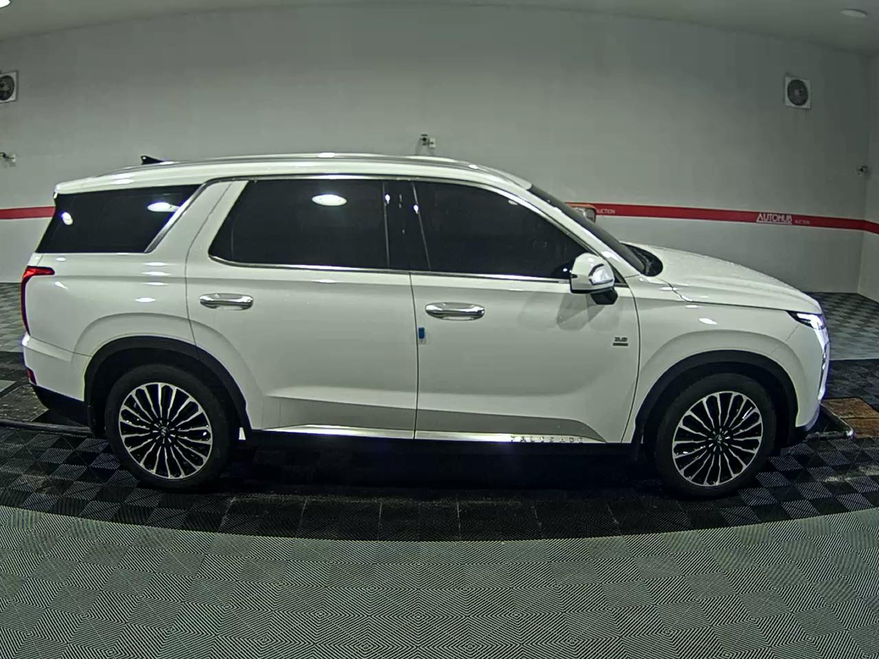 2019 - hyundai palisade