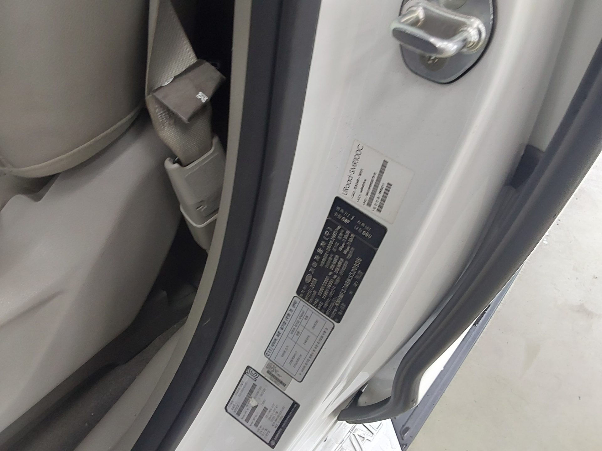 2019 - kia carnival