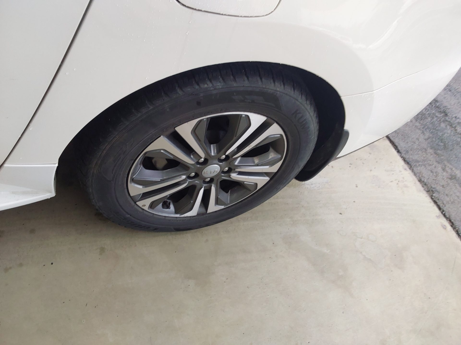 2019 - kia carnival
