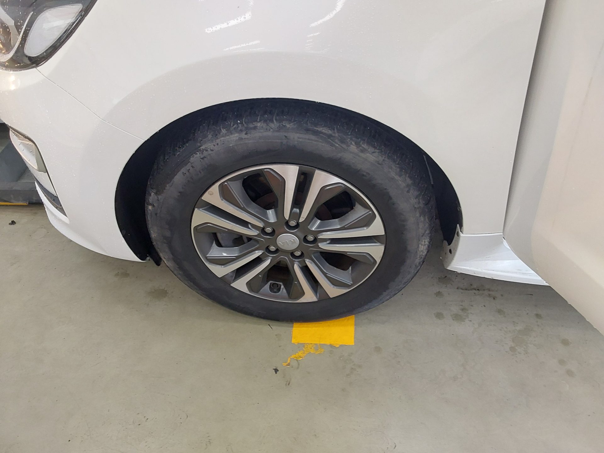 2019 - kia carnival