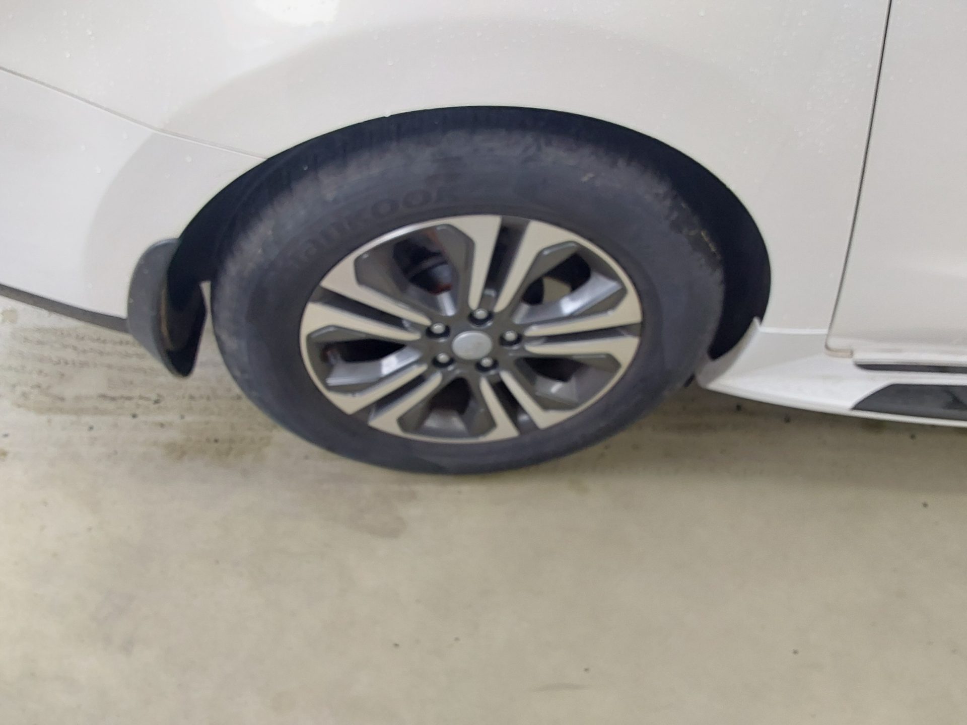 2019 - kia carnival
