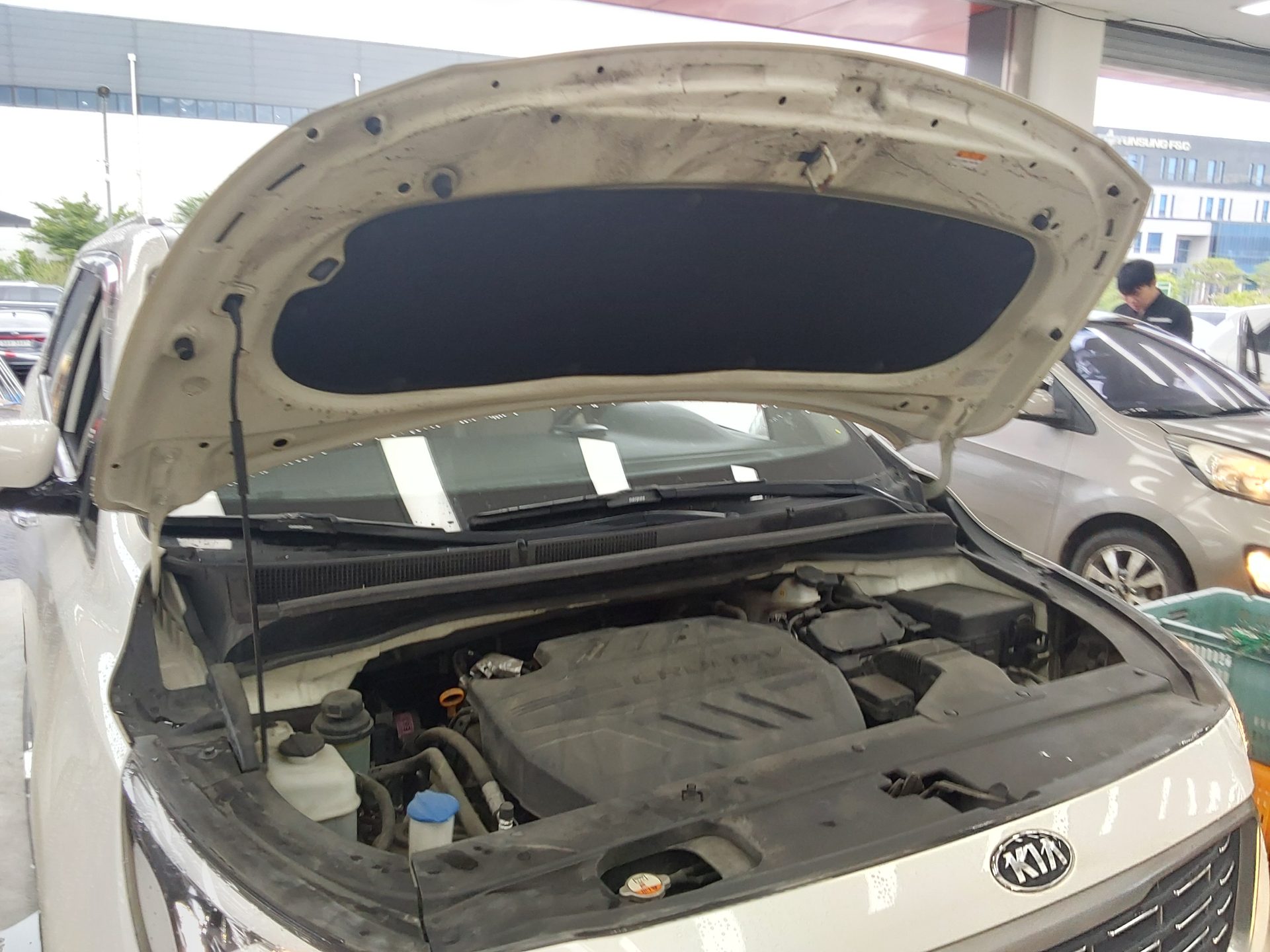 2019 - kia carnival