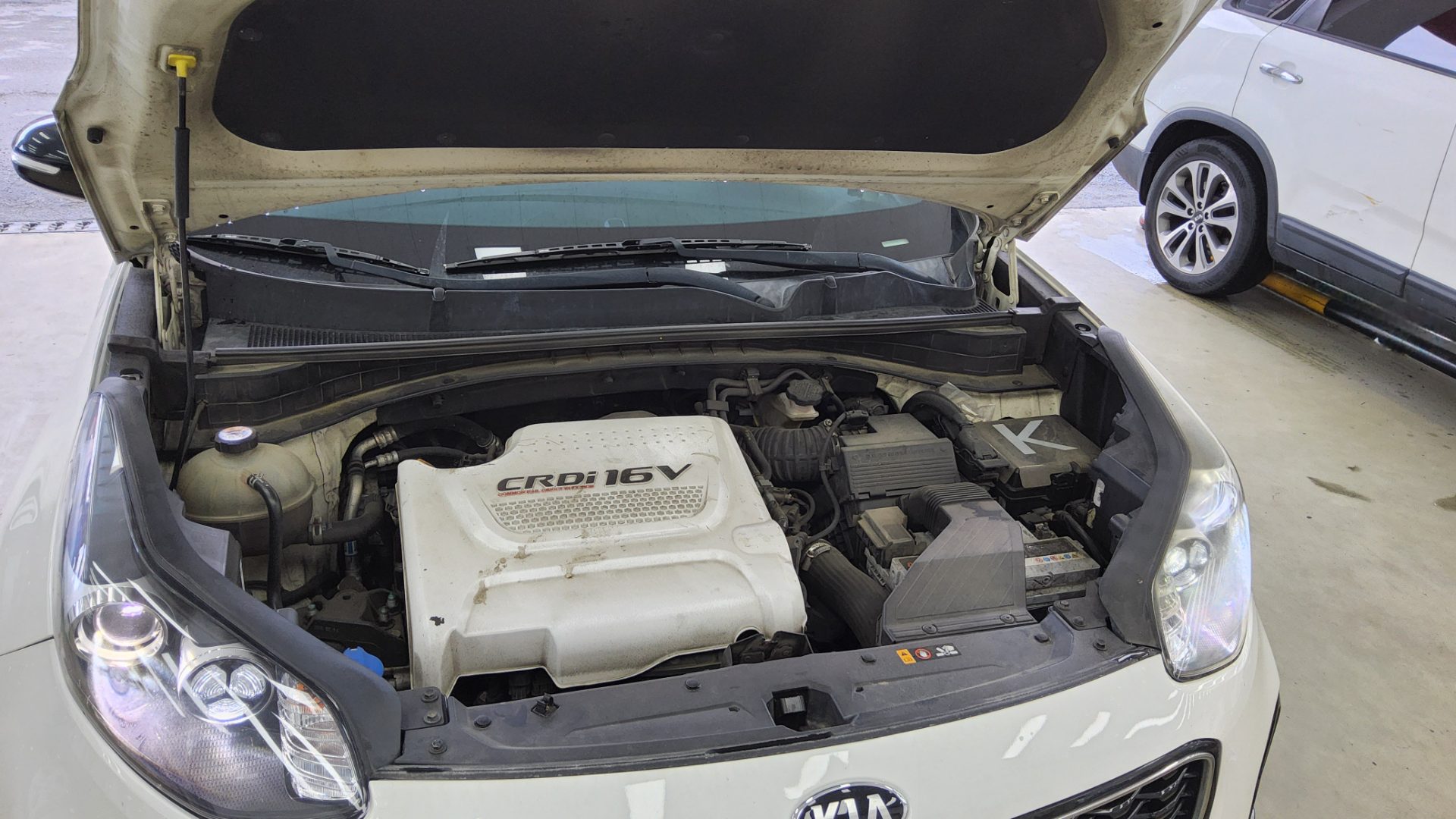 2016 - kia sportage