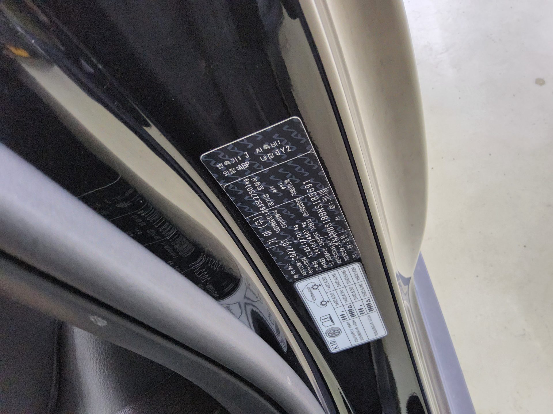 2022 - kia carnival