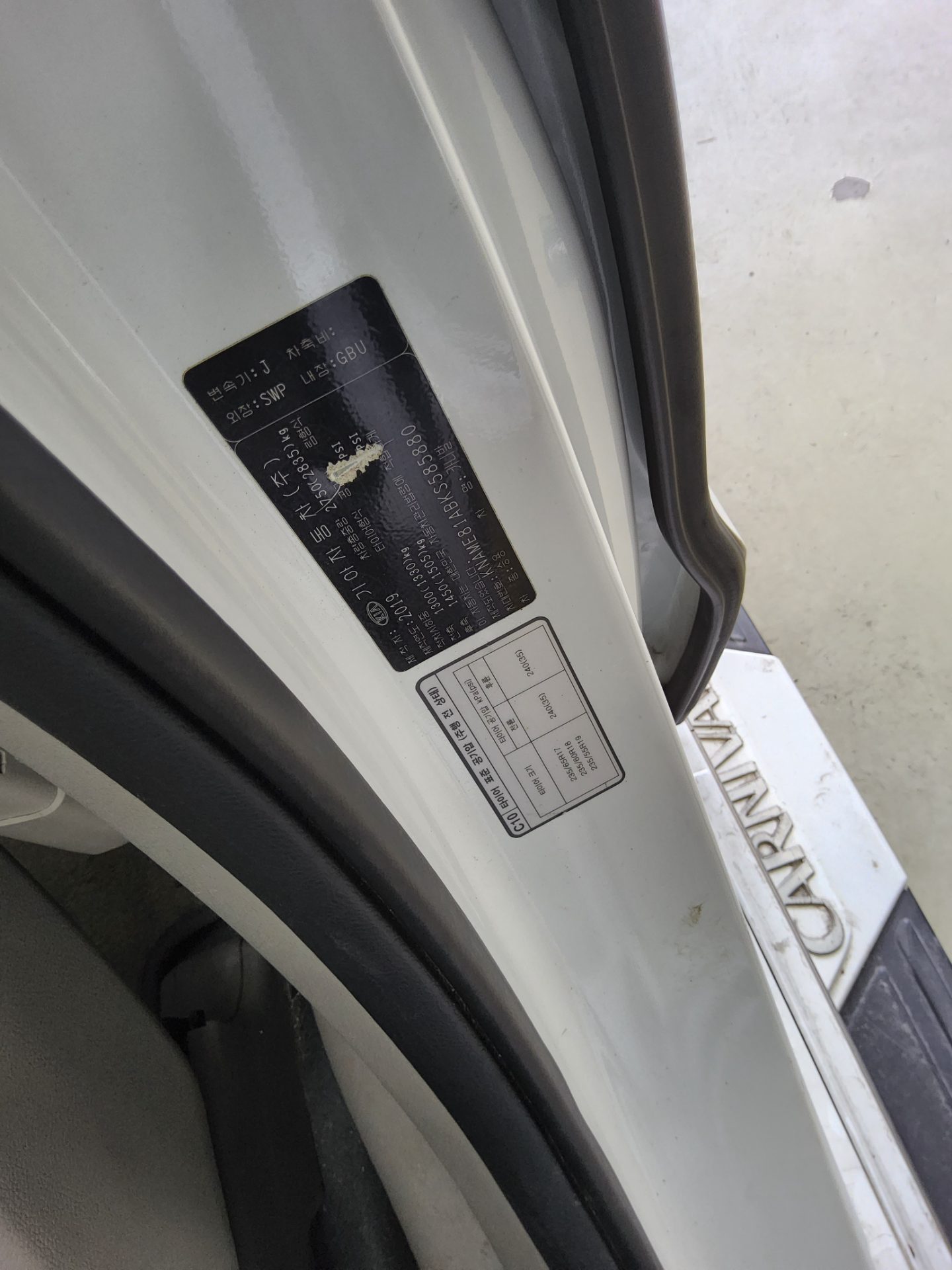 2019 - kia carnival