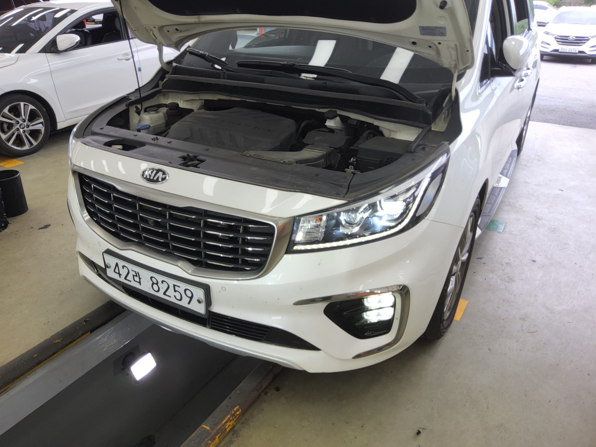 2019 - kia carnival