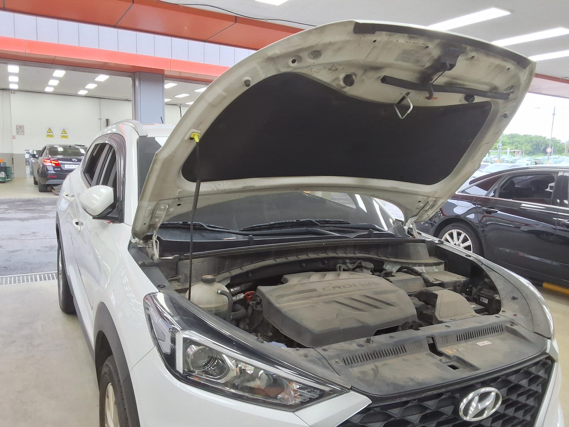 2019 - hyundai tucson