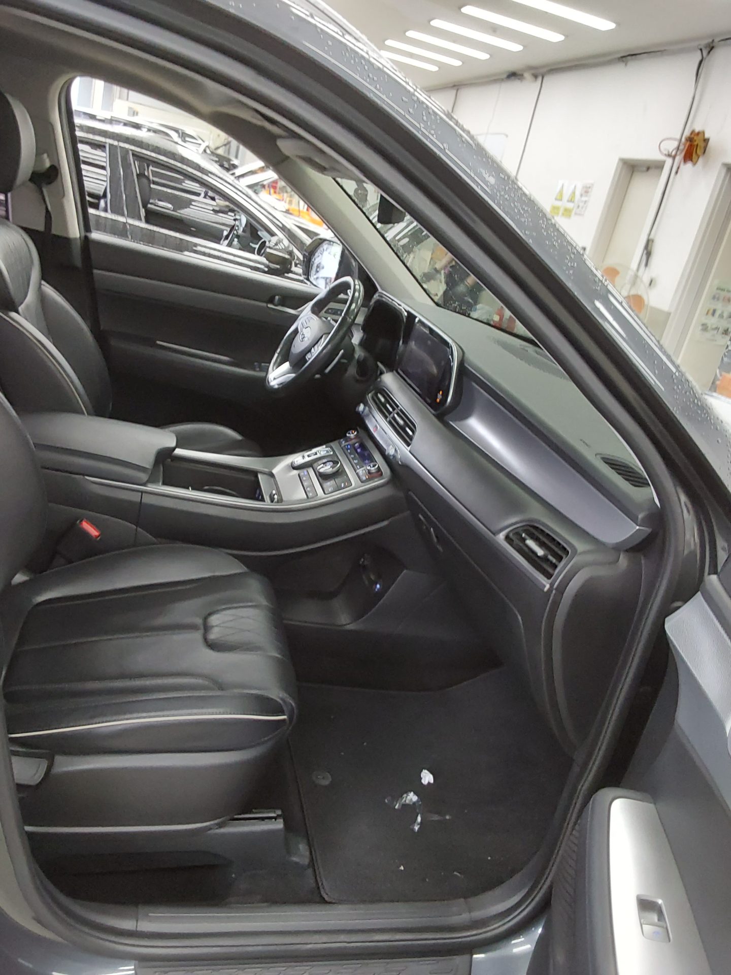 2019 - hyundai palisade