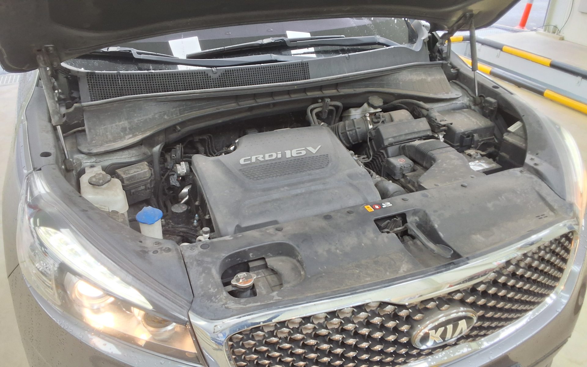 2015 - kia sorento