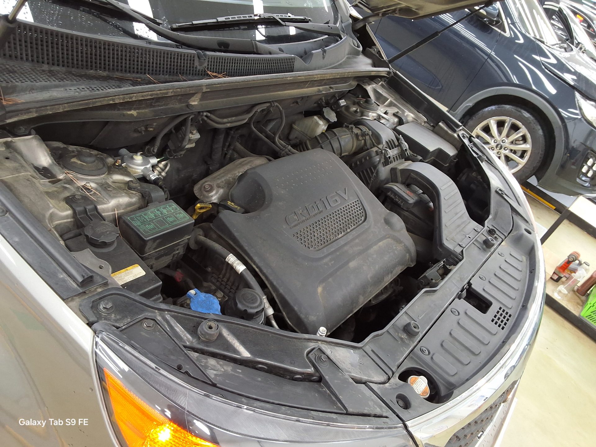 2010 - kia sorento