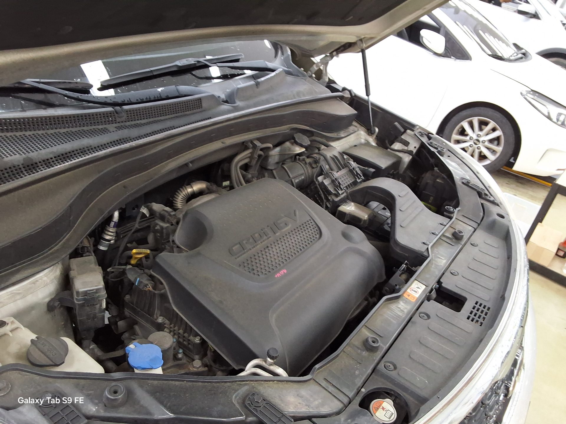 2014 - kia sorento