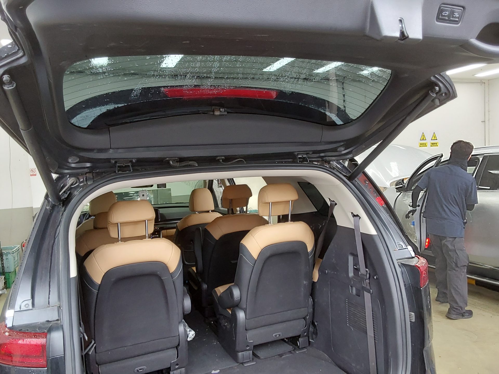 2023 - kia carnival