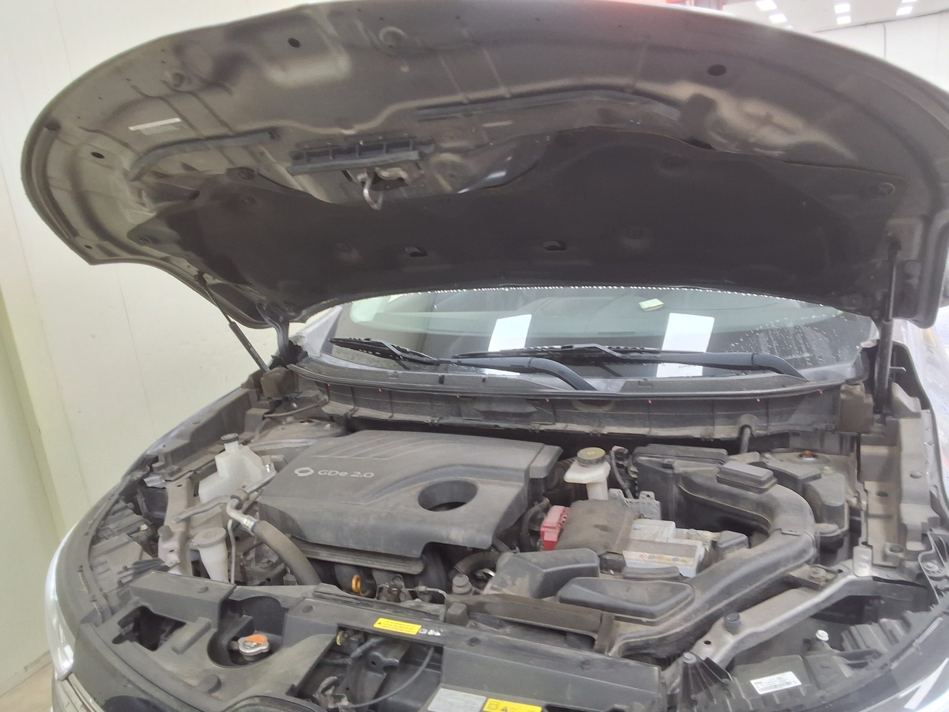 2019 - renault qm6