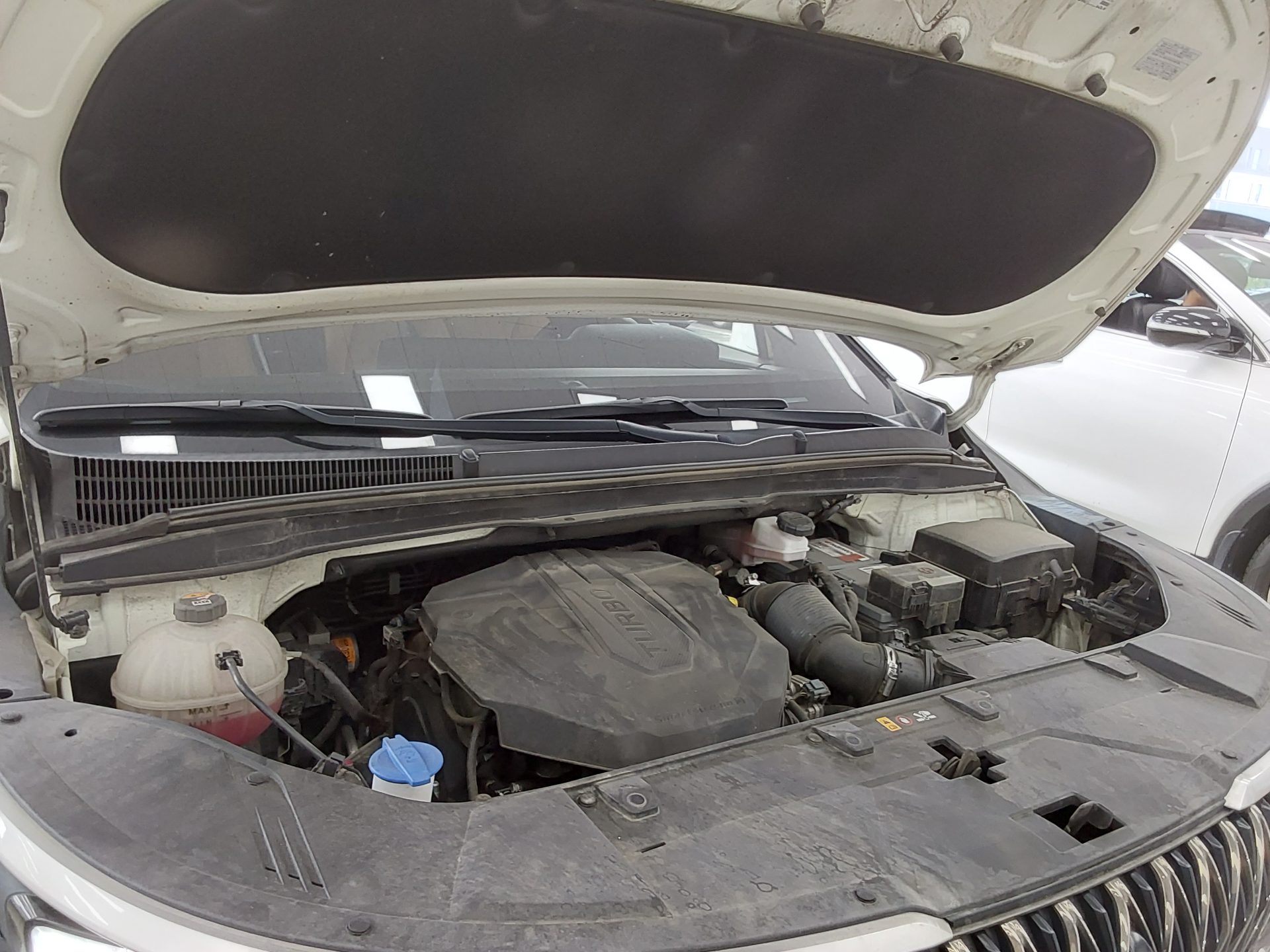 2021 - kia carnival