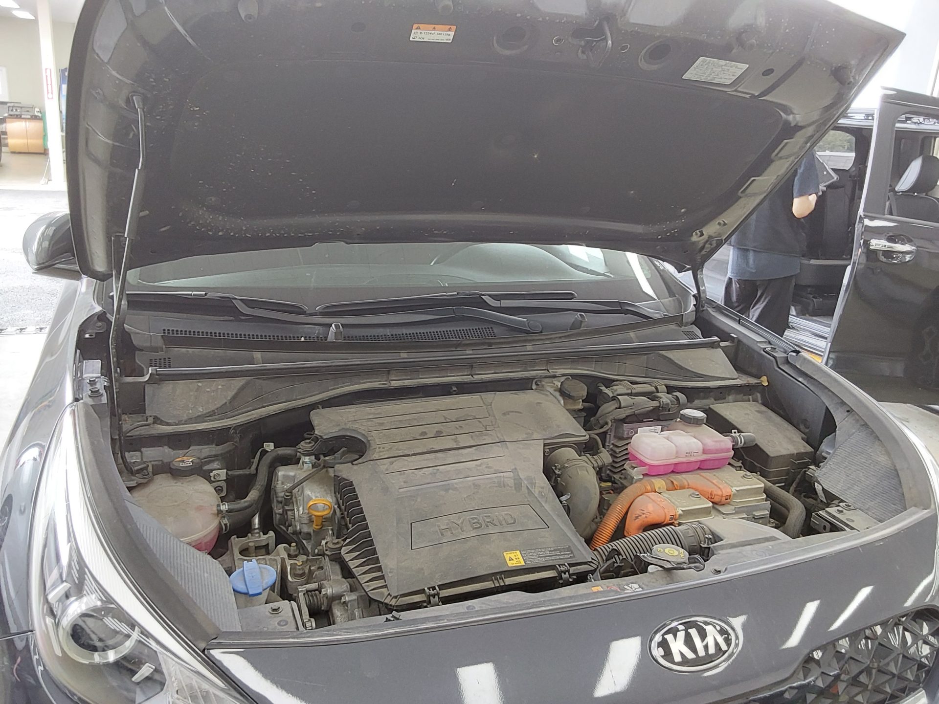 2021 - kia niro