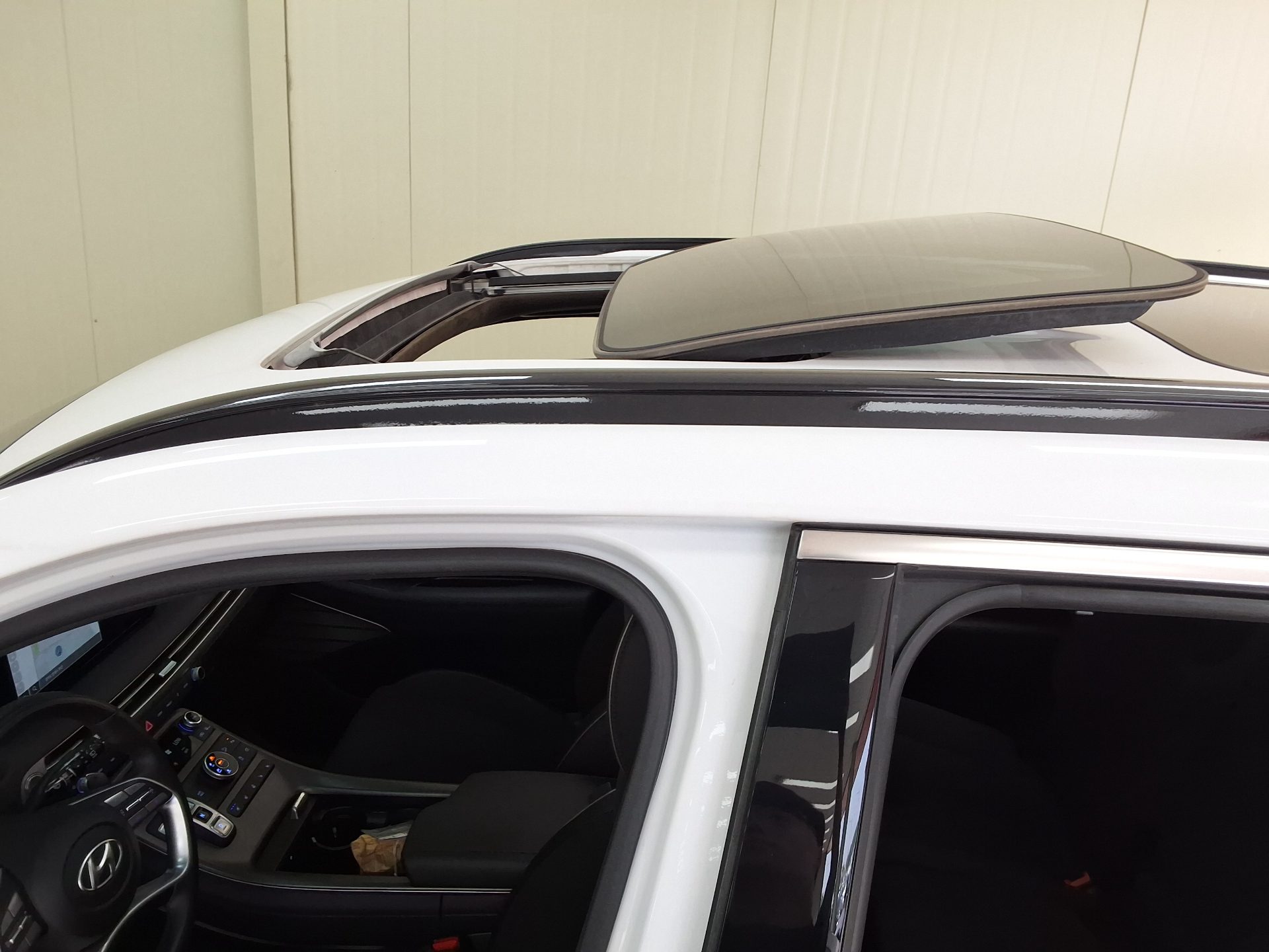 2024 - hyundai palisade