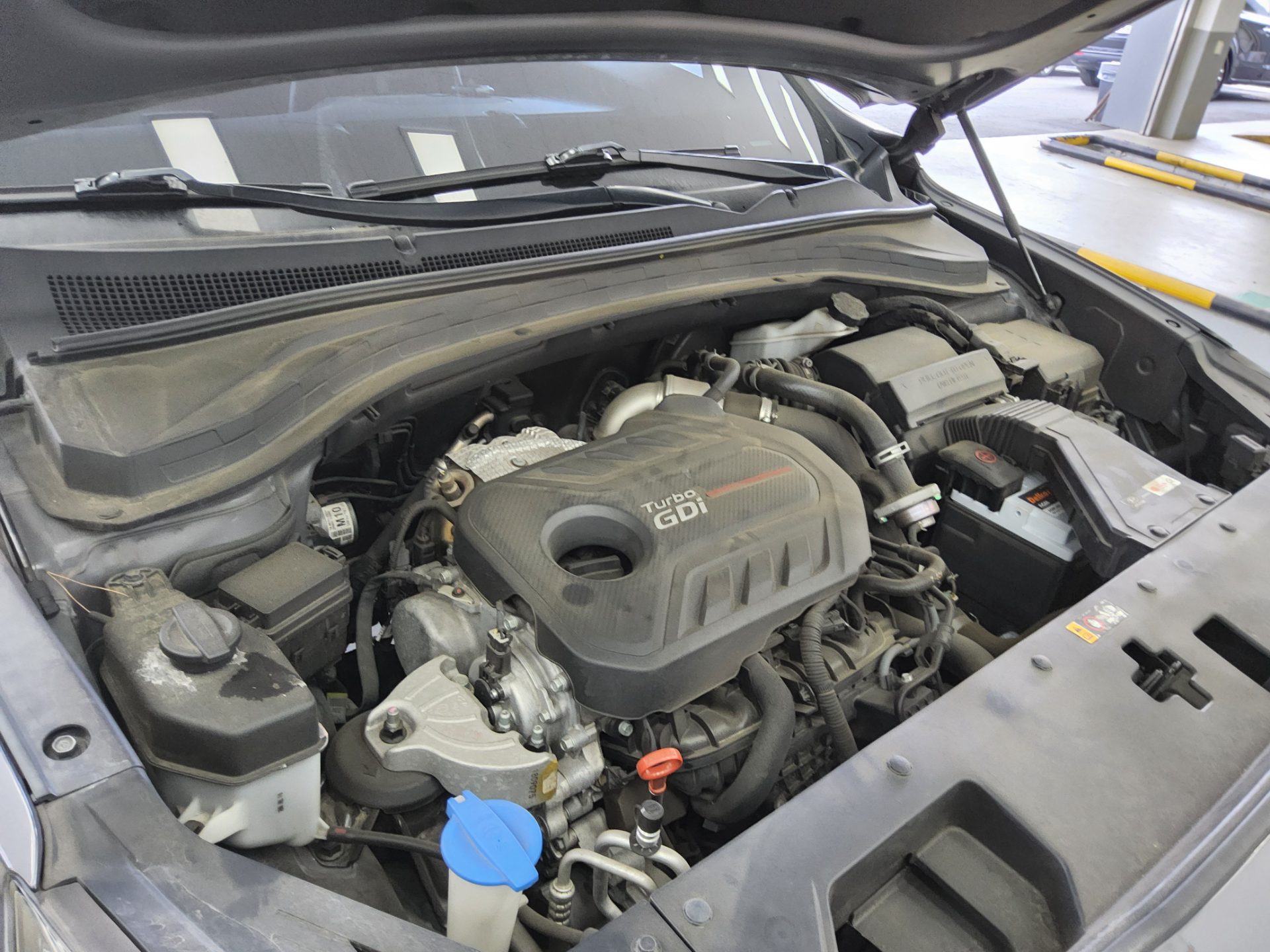 2019 - hyundai santa fe