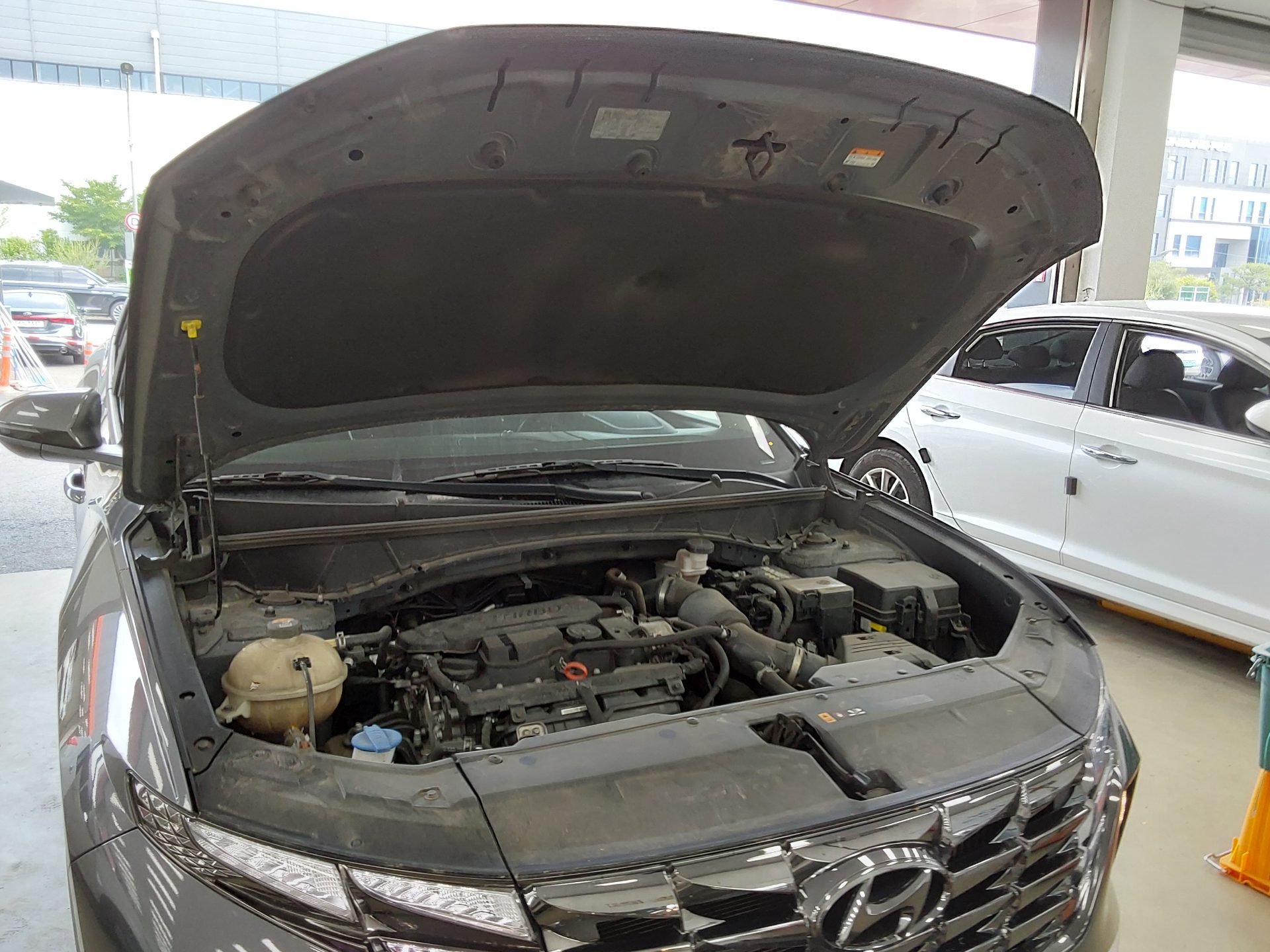 2021 - hyundai tucson
