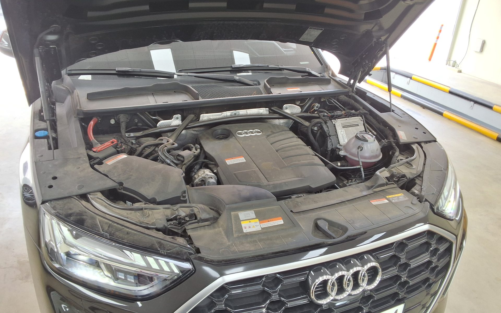 2023 - audi q5