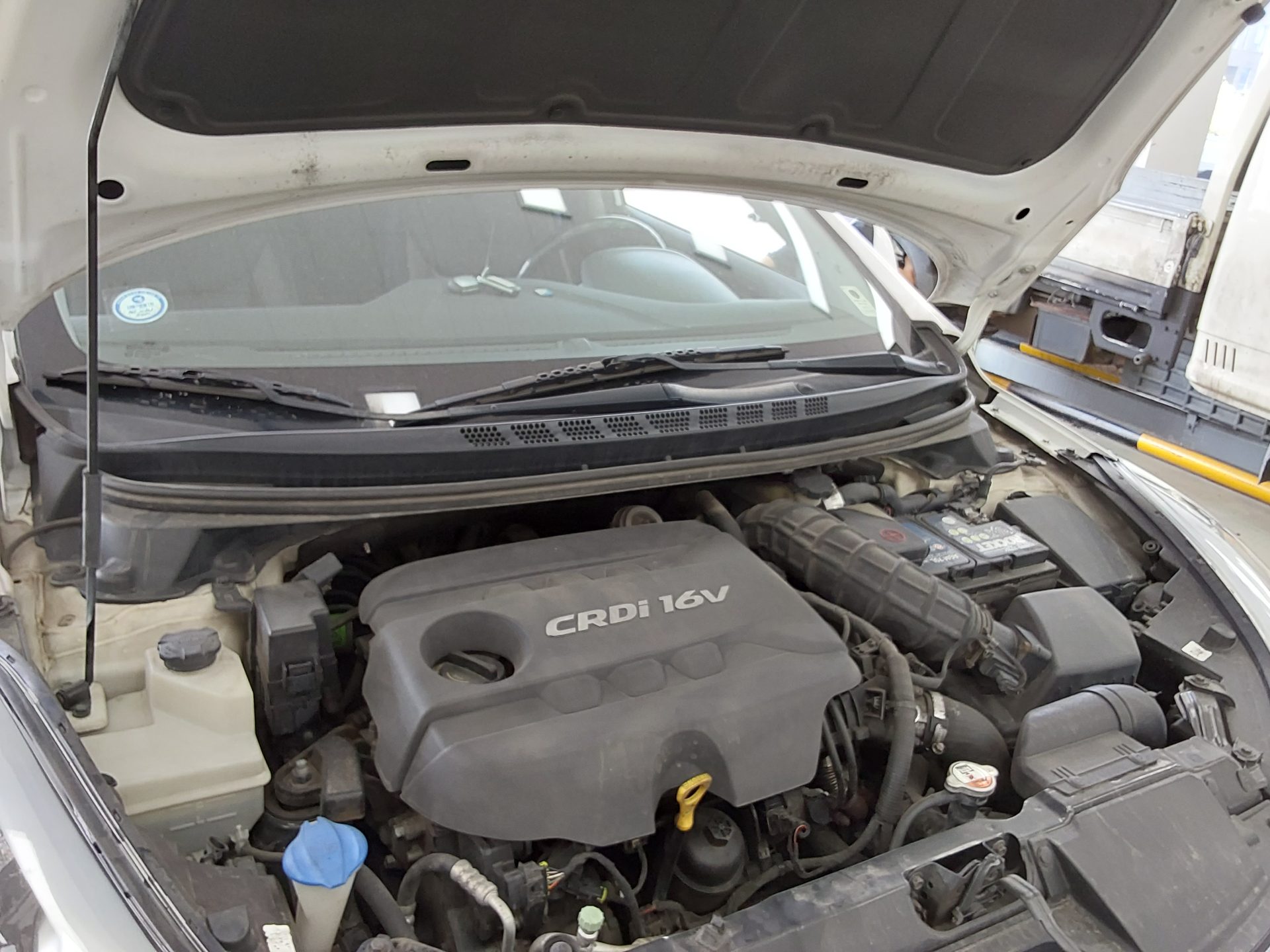 2014 - hyundai avante