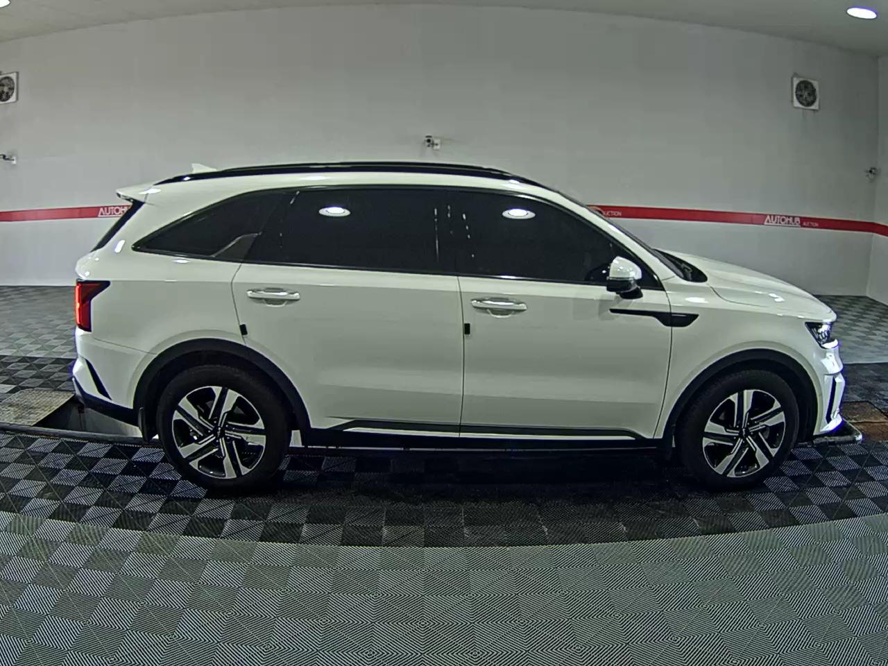 2023 - kia sorento