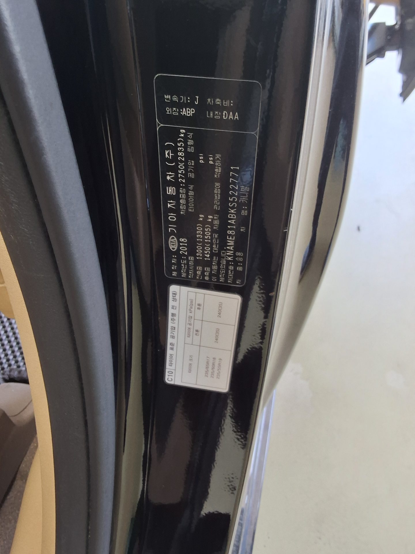 2019 - kia carnival