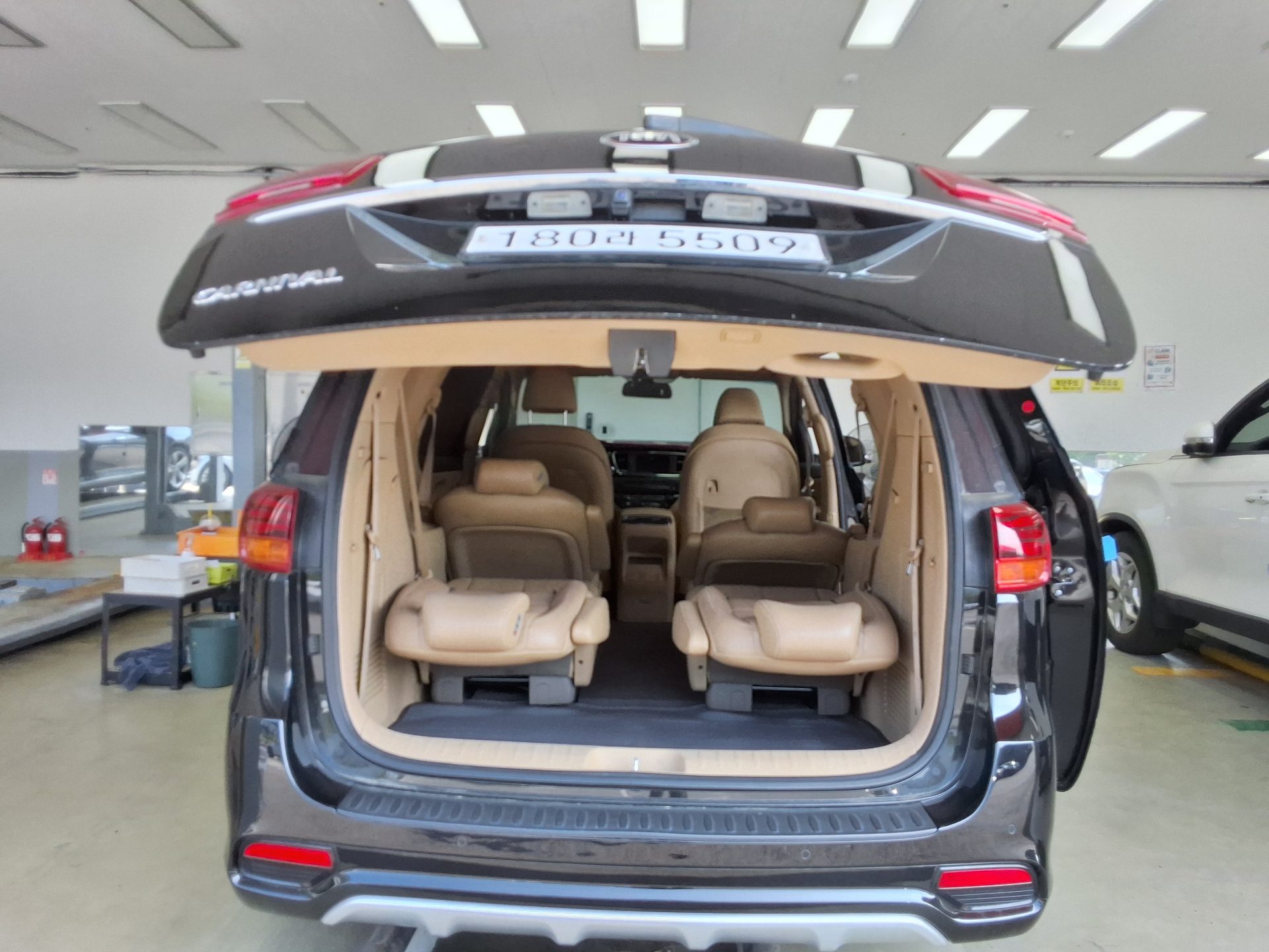 2019 - kia carnival