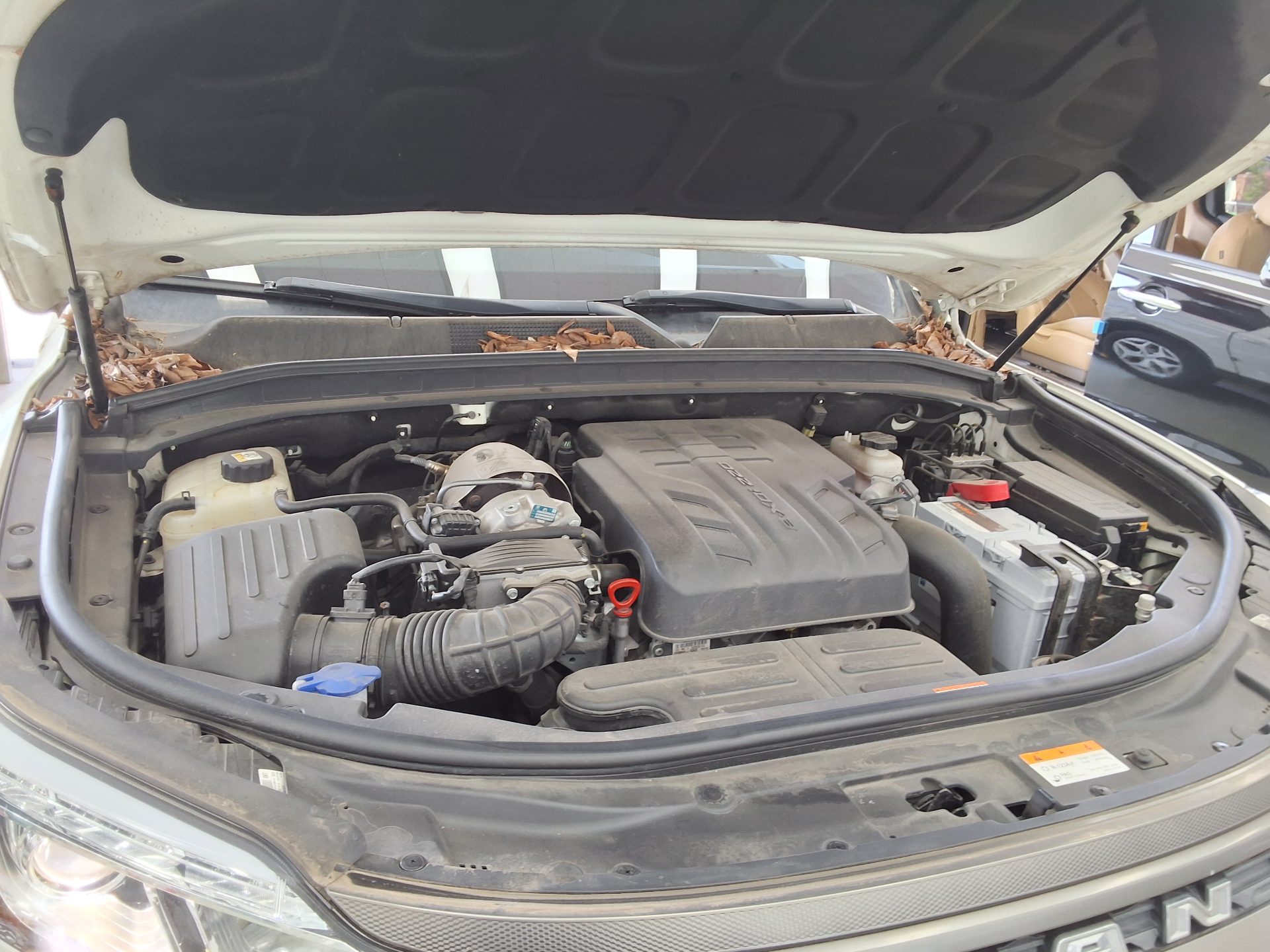 2022 - ssangyong rexton