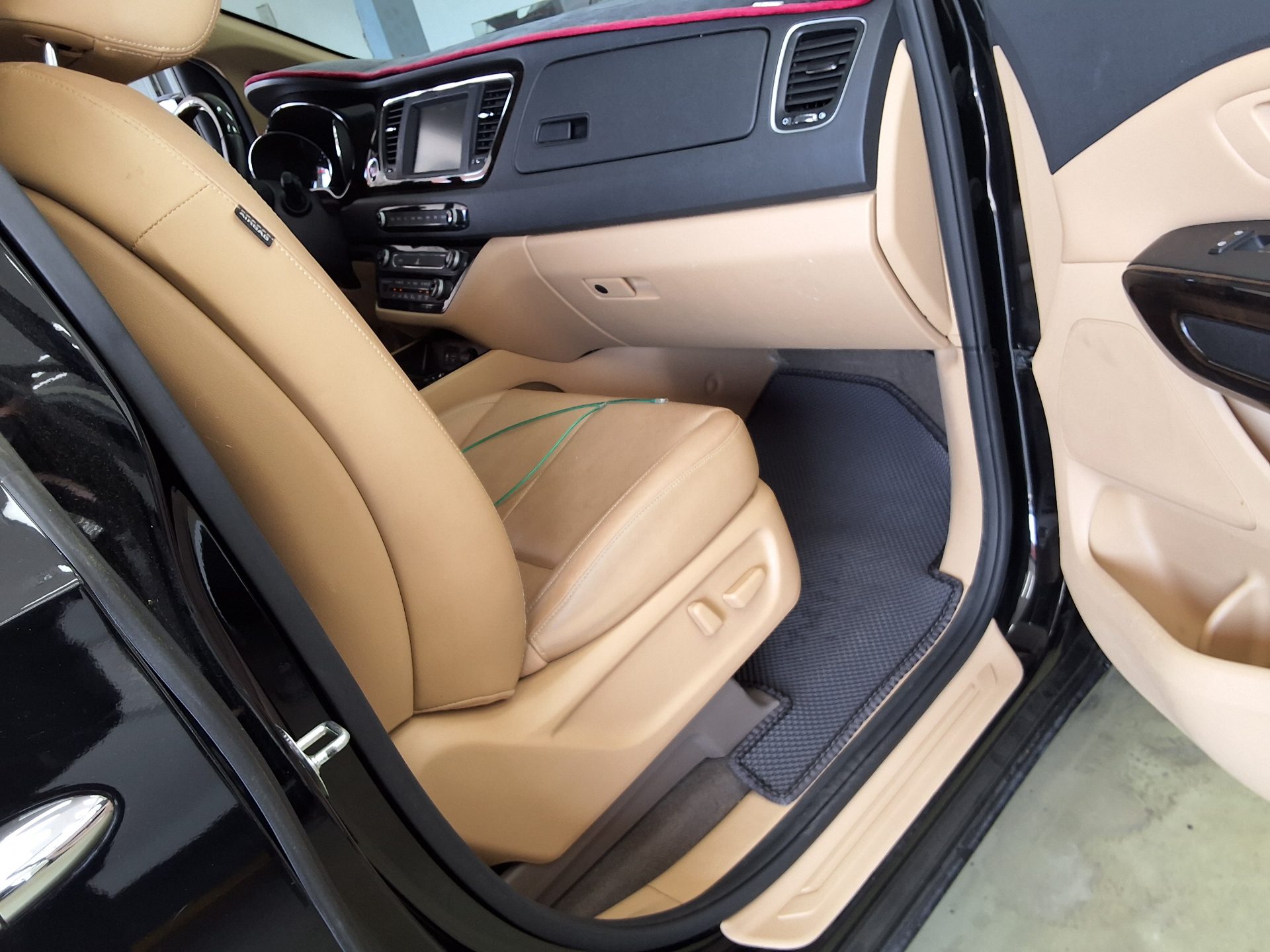 2019 - kia carnival