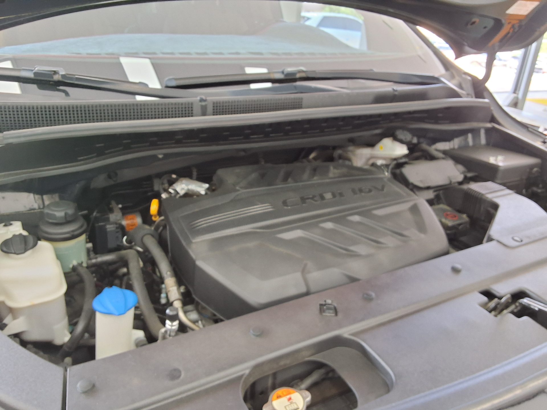 2019 - kia carnival