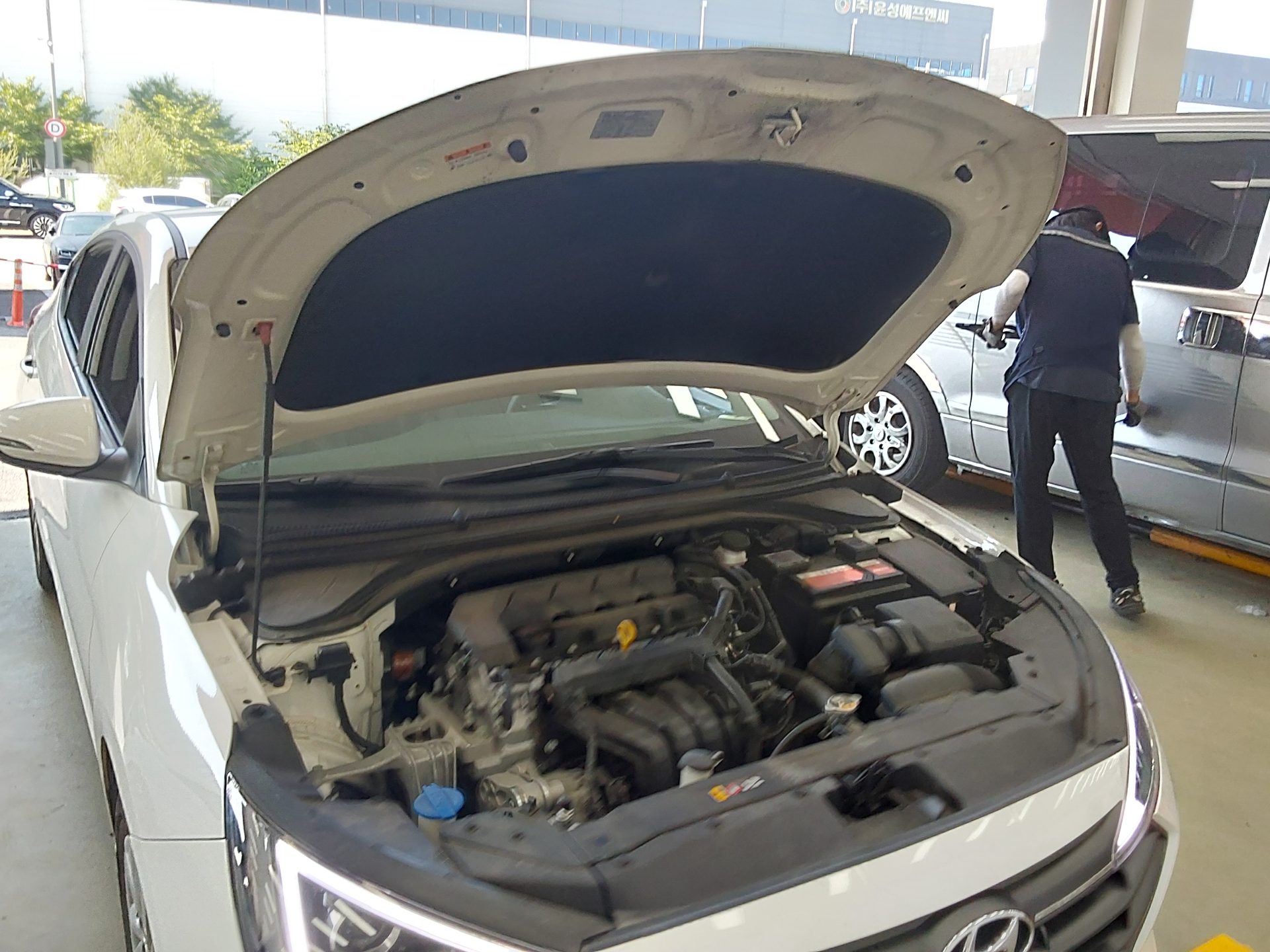 2019 - hyundai avante