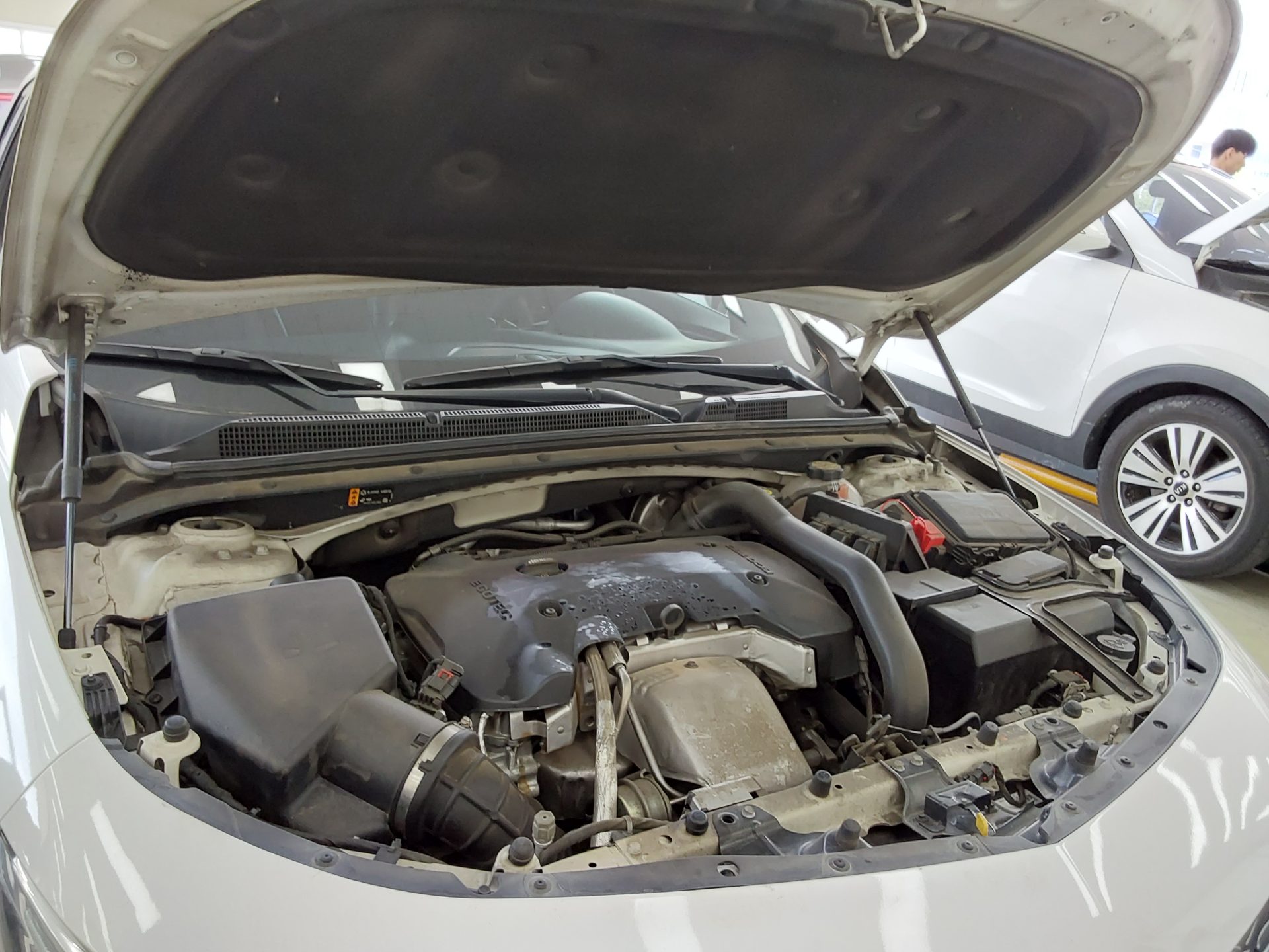 2019 - chevrolet malibu